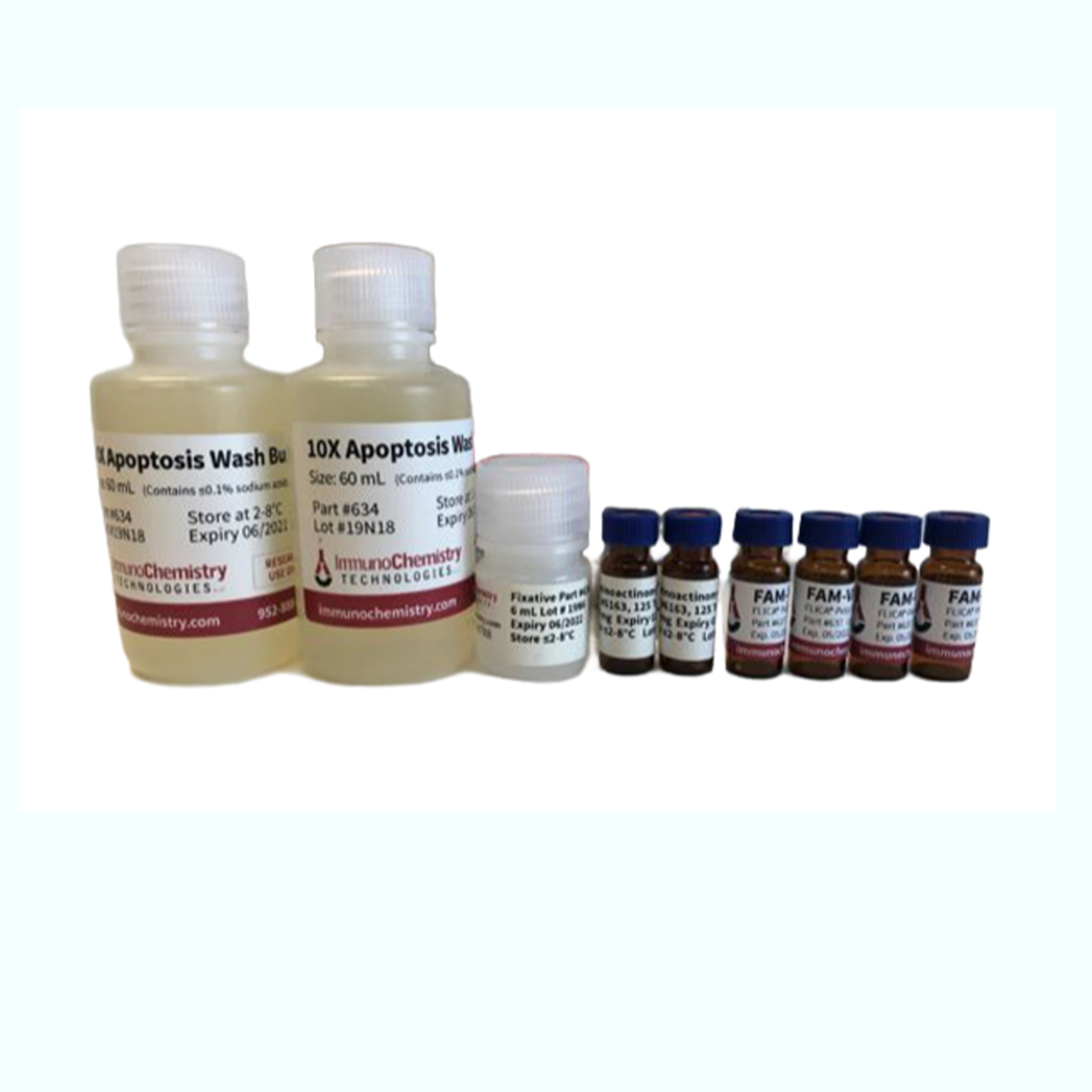 坏死与凋亡检测试剂盒 Necrosis vs Apoptosis Assay Kit